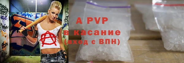 стаф Беломорск