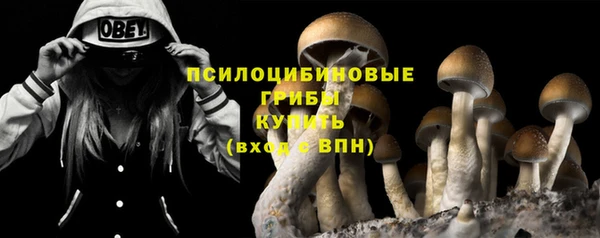 2c-b Белоозёрский