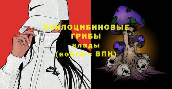 2c-b Белоозёрский