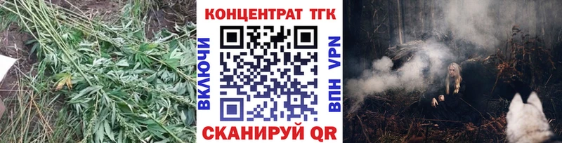 ТГК THC oil  закладка  Вышний Волочёк 